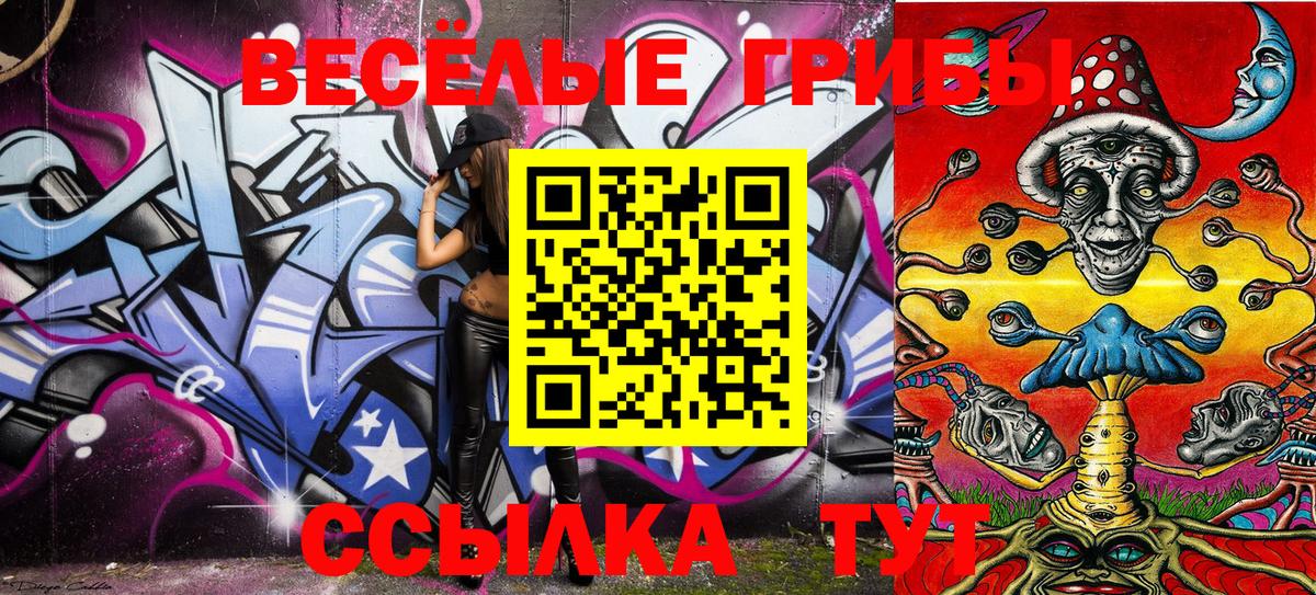 Галлюциногенные грибы Psilocybe Лесосибирск