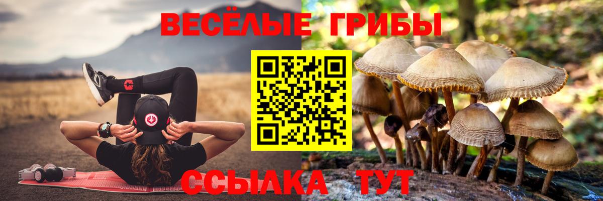 Лесосибирск  Псилоцибиновые грибы Cubensis  Вход с VPN 